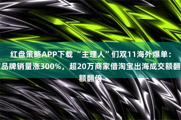红盘策略APP下载 “主理人”们双11海外爆单:有品牌销量涨300%,超20万商家借淘宝出海成交额翻倍