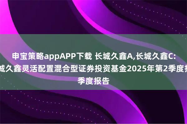 申宝策略appAPP下载 长城久鑫A,长城久鑫C: 长城久鑫灵活配置混合型证券投资基金2025年第2季度报告